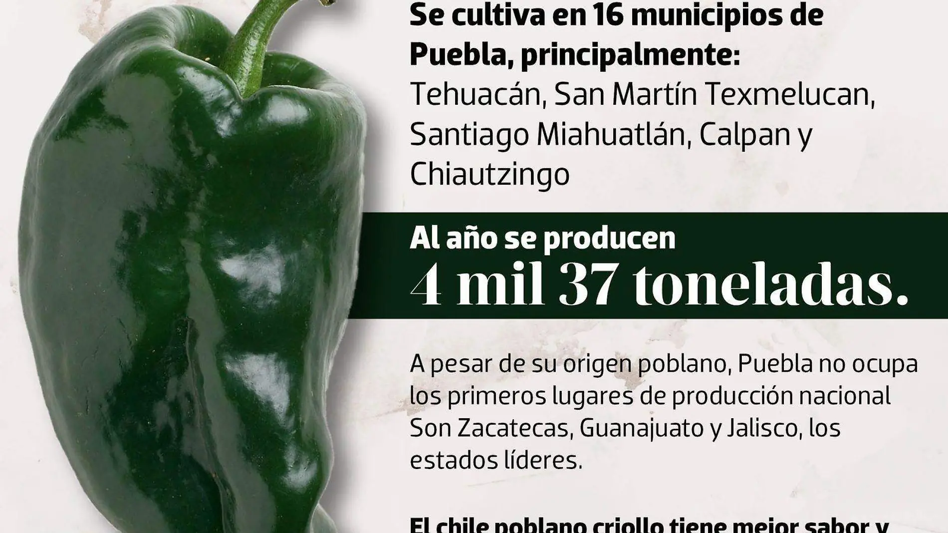 Puebla, cuna del chile poblano: ¿Por qué no es el principal productor?